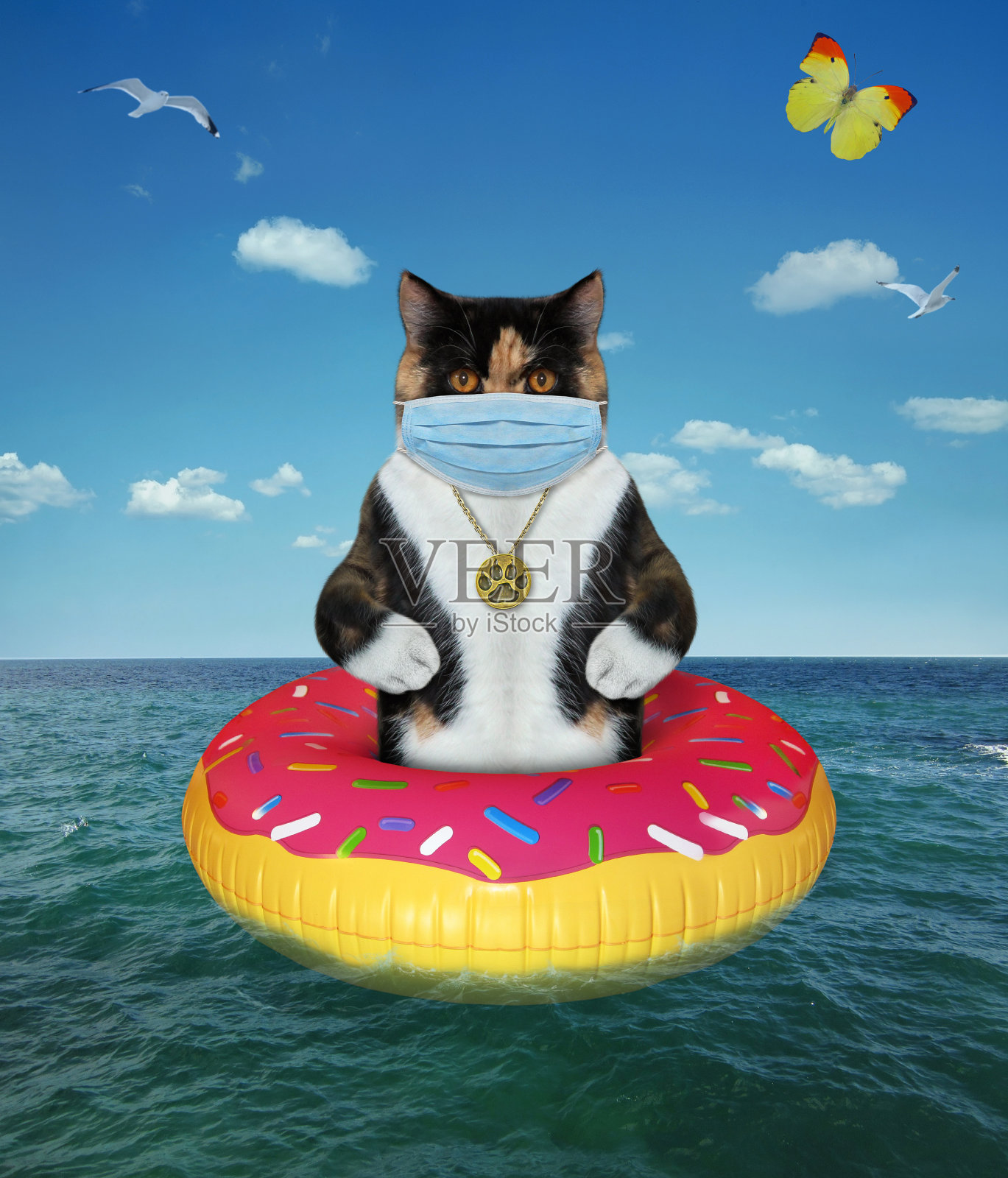 戴面具的猫漂浮在甜甜圈上照片摄影图片