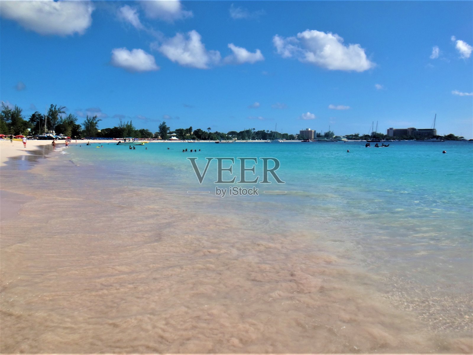 巴巴多斯岛风景优美的海滩照片摄影图片