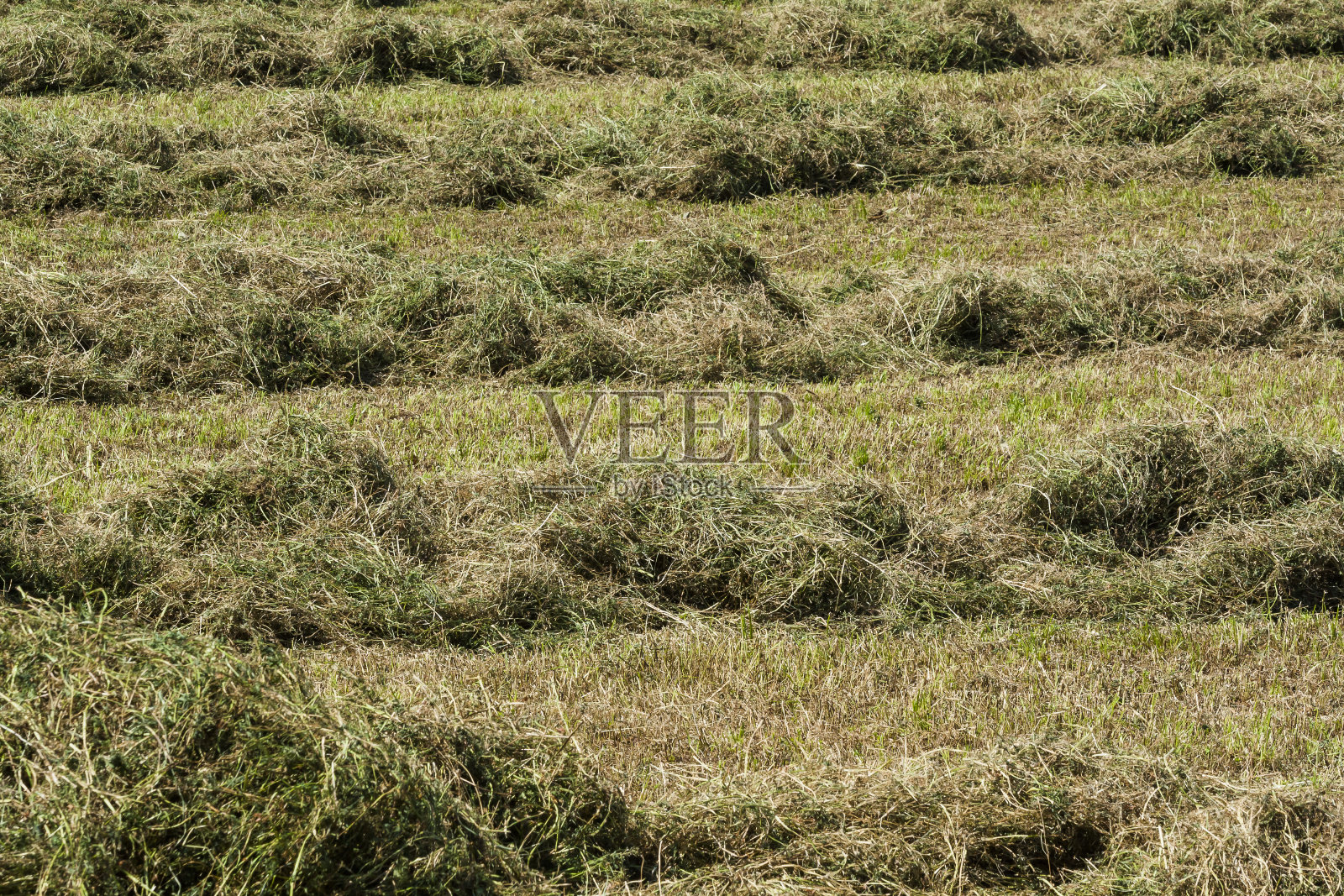 有料堆。照片摄影图片