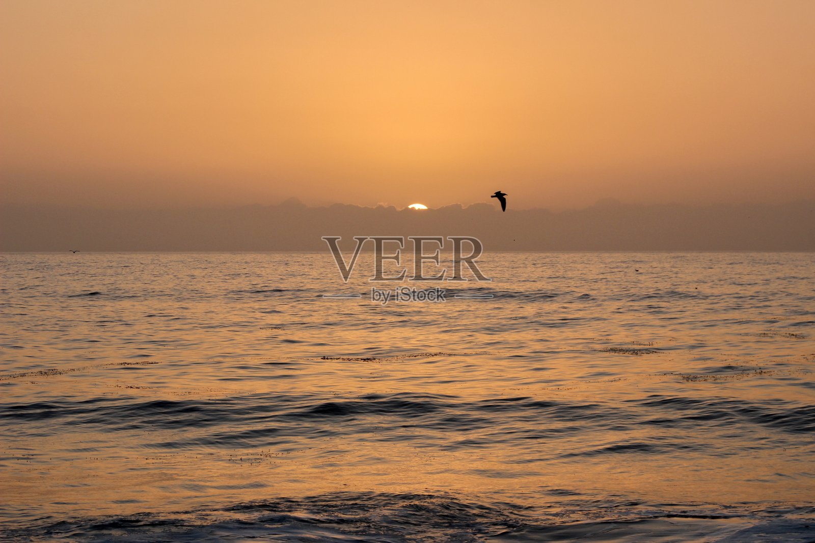 海上日落照片摄影图片