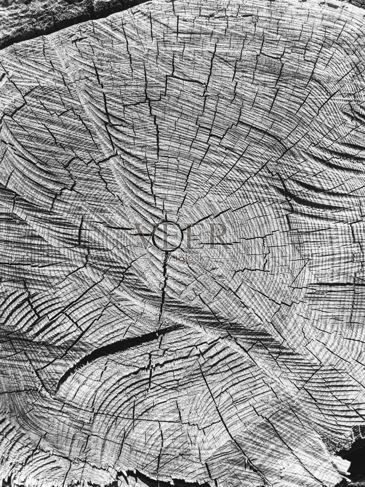 日志环照片摄影图片