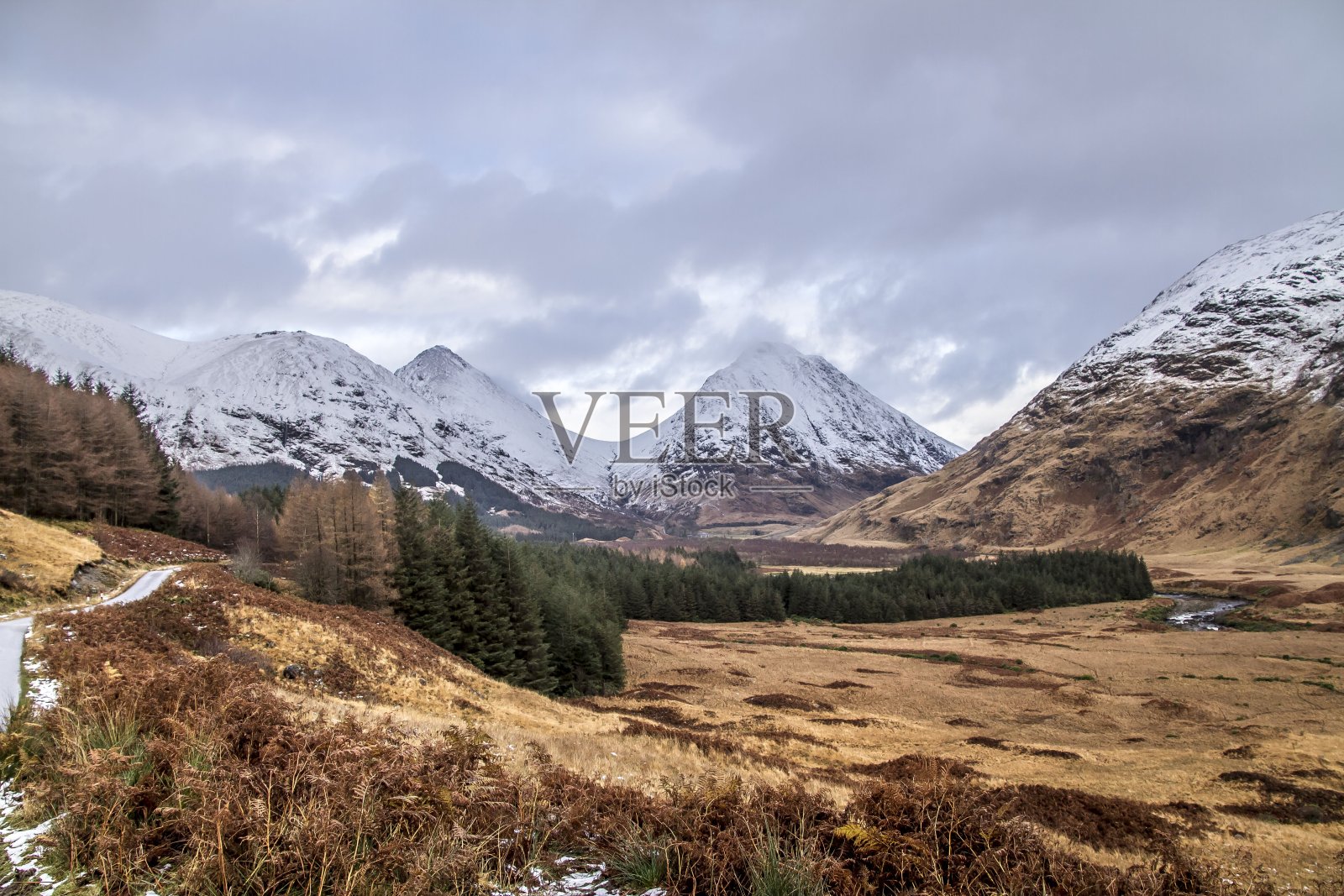 冬日:幽谷。照片摄影图片