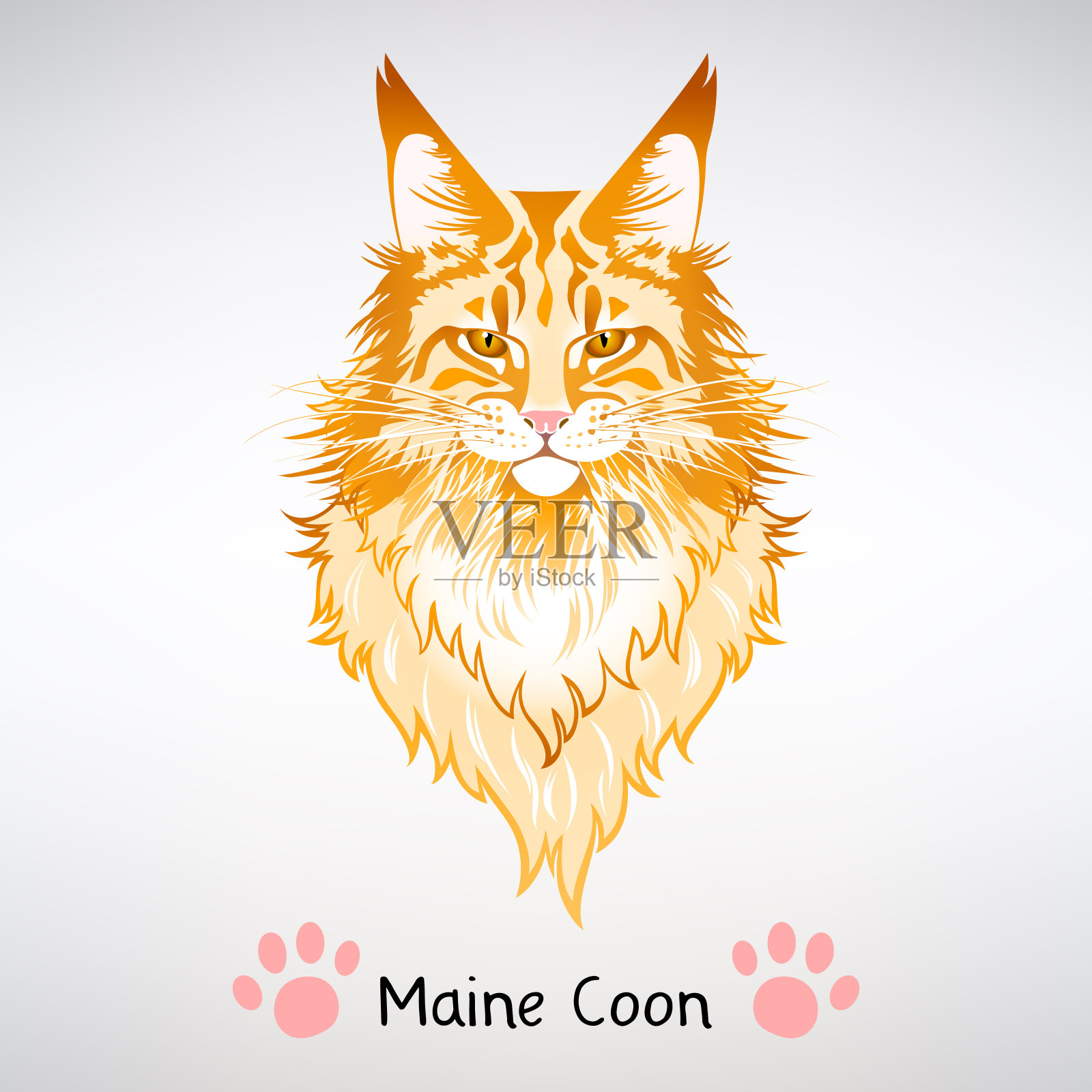 红猫缅因猫的肖像插画图片素材