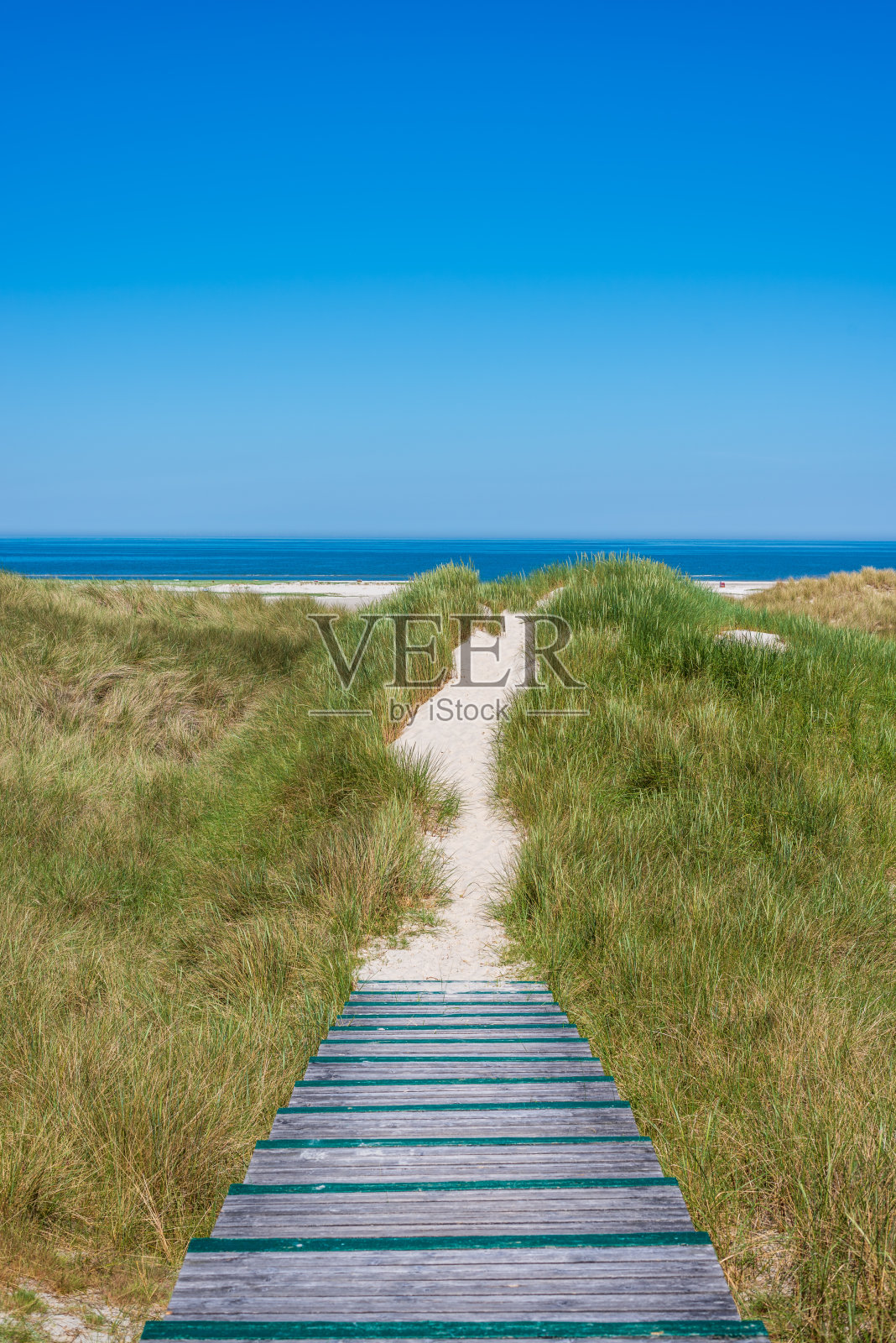 德国阿姆鲁姆岛的沙丘景观上长满了草。照片摄影图片