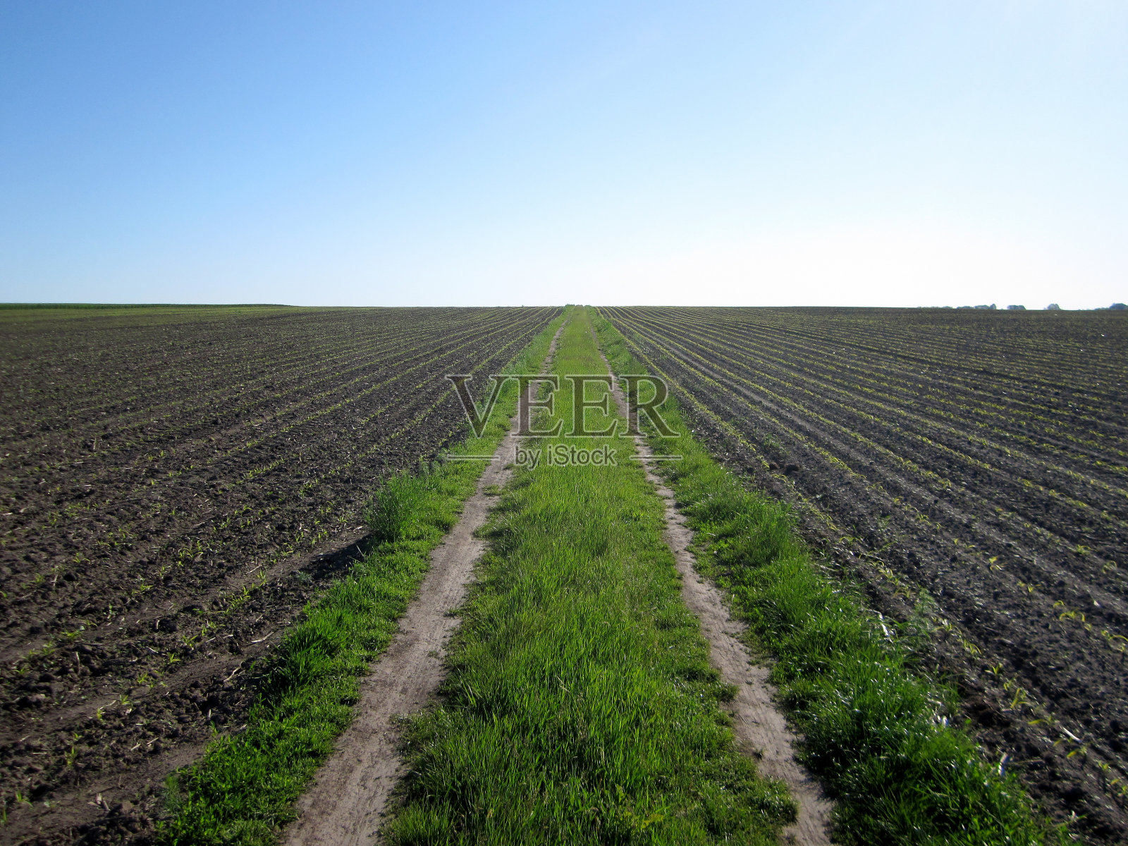 自然照片摄影图片