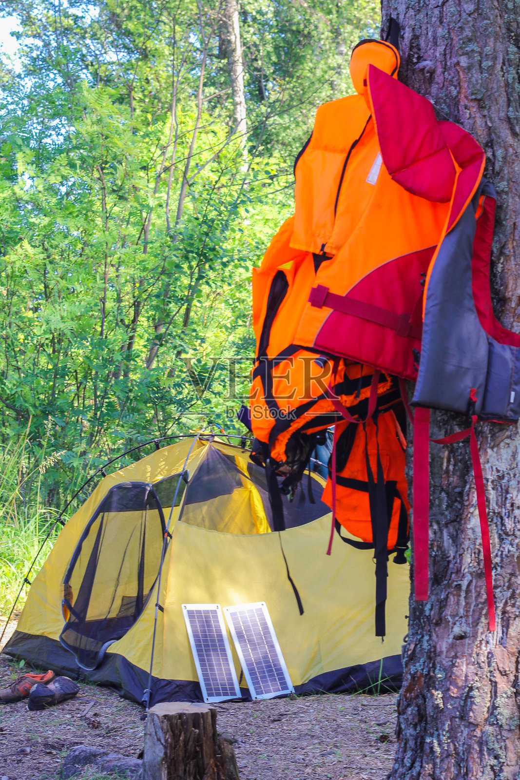 户外娱乐。救生衣挂在树上，鱼竿挂在树干上。渔民们正在准备钓鱼照片摄影图片