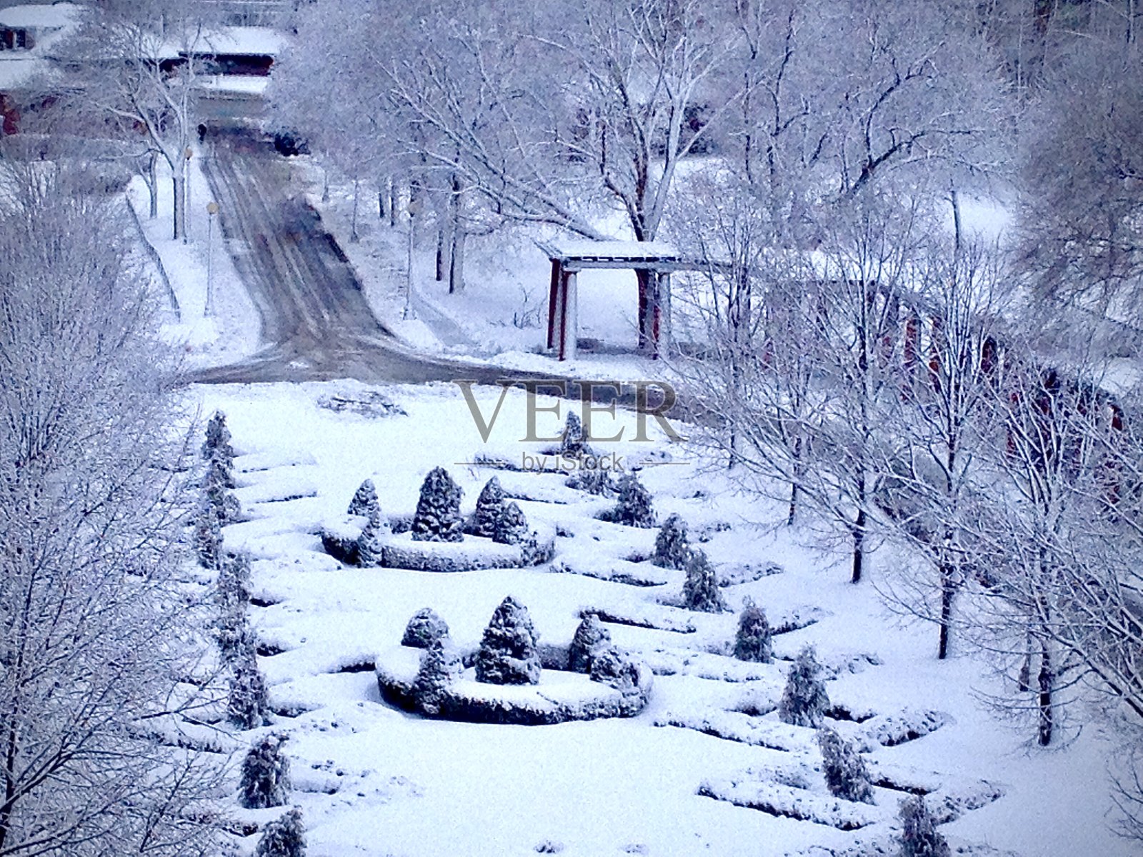 雪后，团聚和温暖照片摄影图片