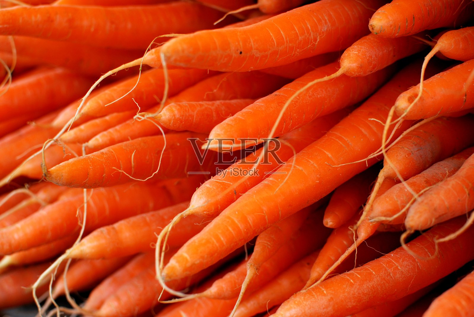 新鲜采摘胡萝卜照片摄影图片