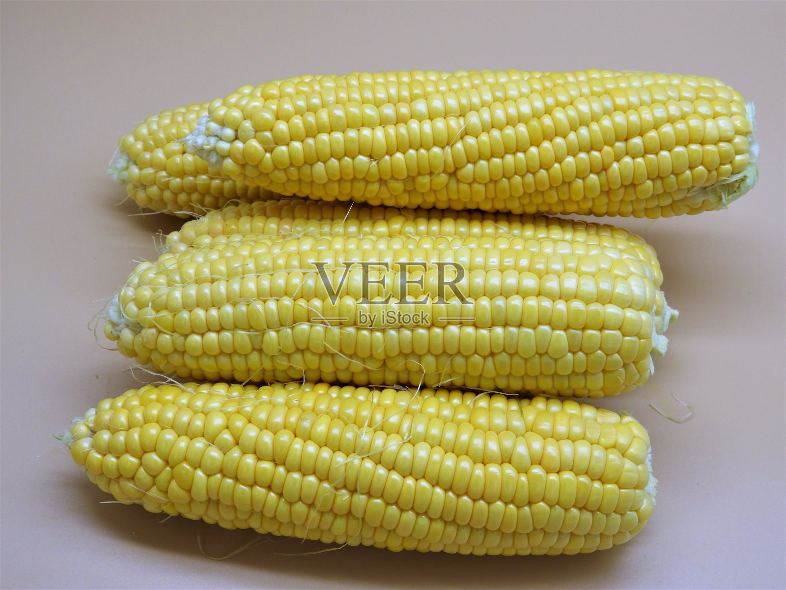 玉米16照片摄影图片