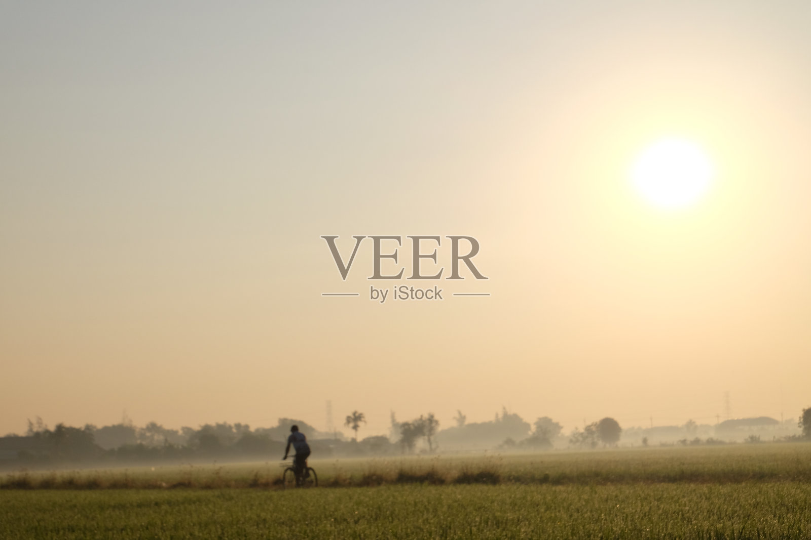 早上骑自行车照片摄影图片