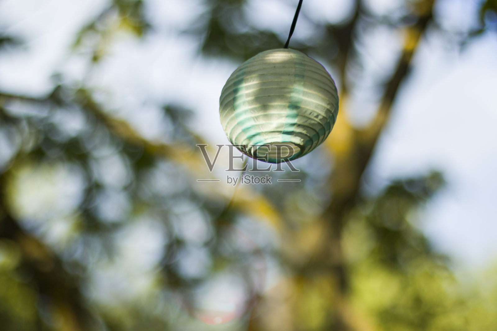 灯笼在院子里的树梢上散置背景，夜晚又有温暖的灯光，悬挂灯笼，自然光，傍晚时分。照片摄影图片