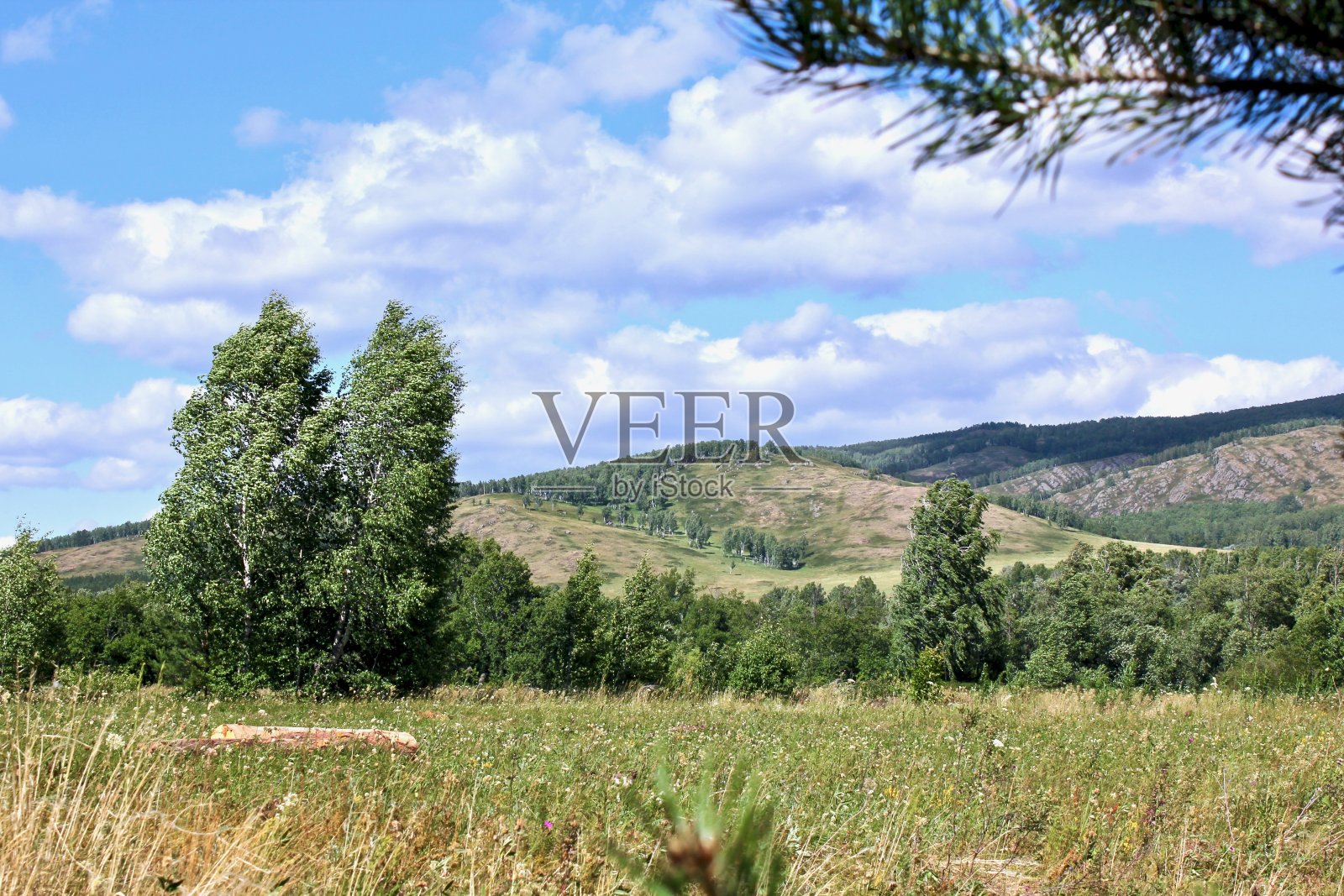 完美的夏天的风景。以山为背景的田野照片摄影图片