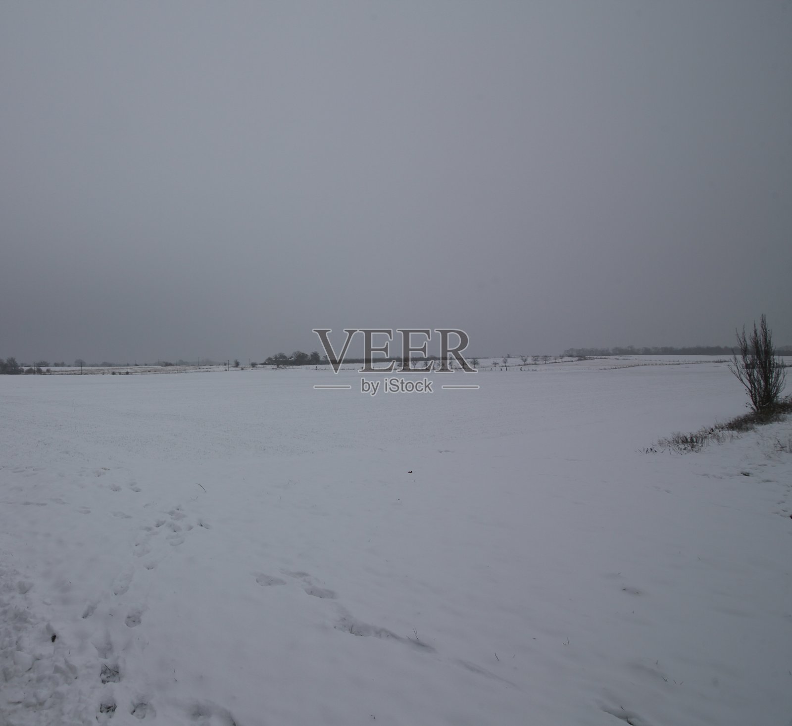 美丽的风景与冬天的雪照片摄影图片