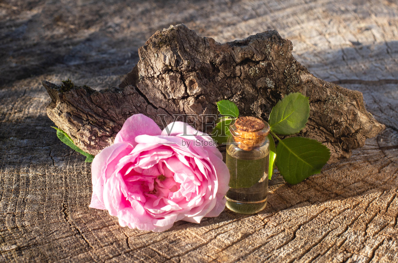 瓶子与粉色玫瑰精油在木材背景。美容治疗中的治疗方法照片摄影图片
