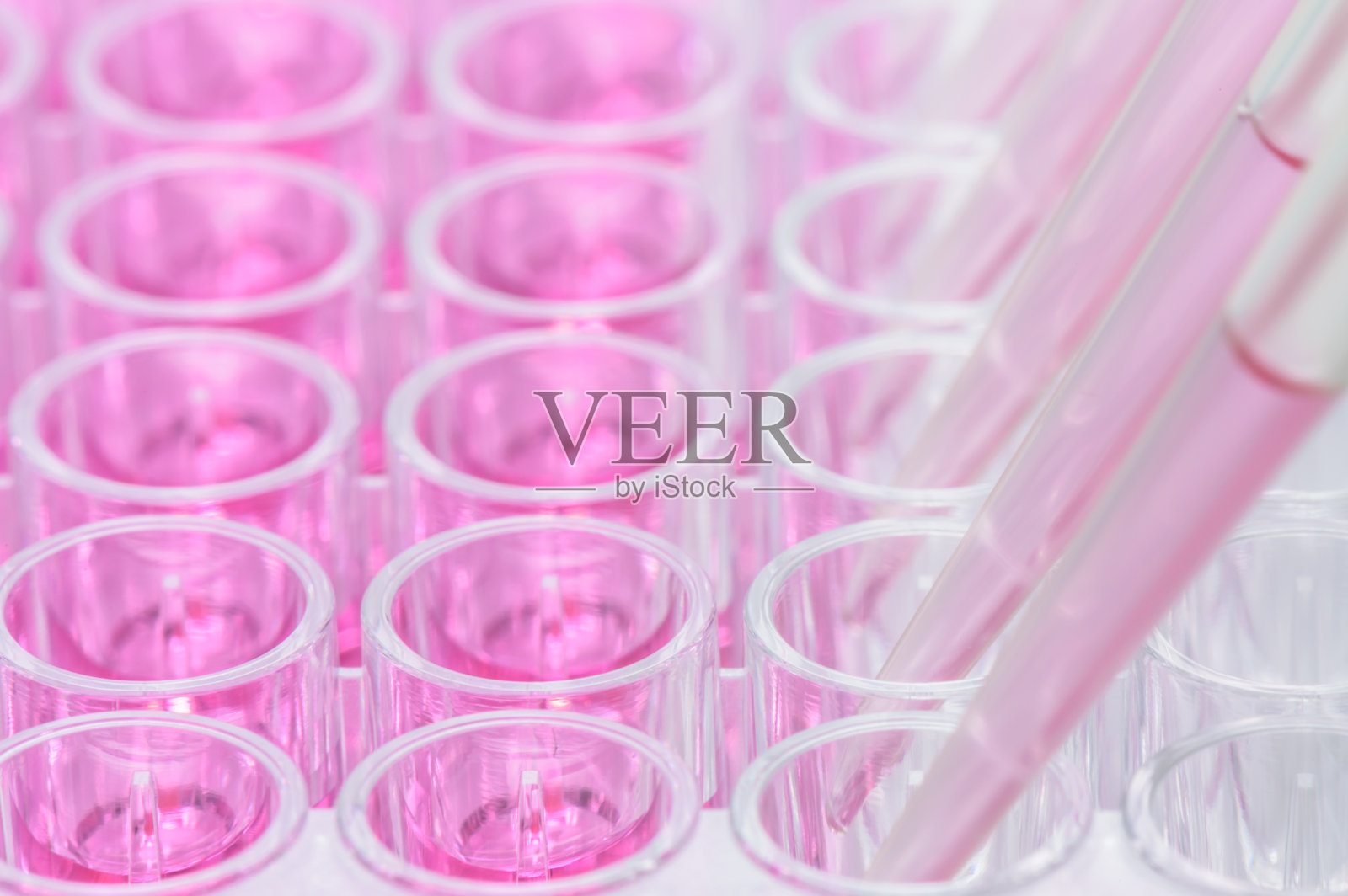 移液照片摄影图片