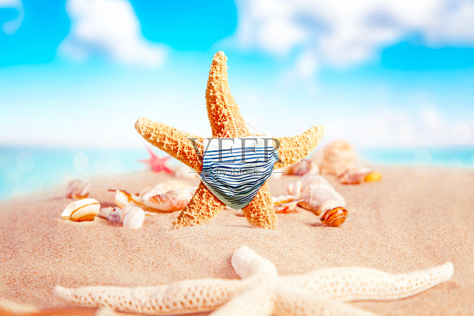 戴着冠状病毒口罩的海星在度假照片摄影图片