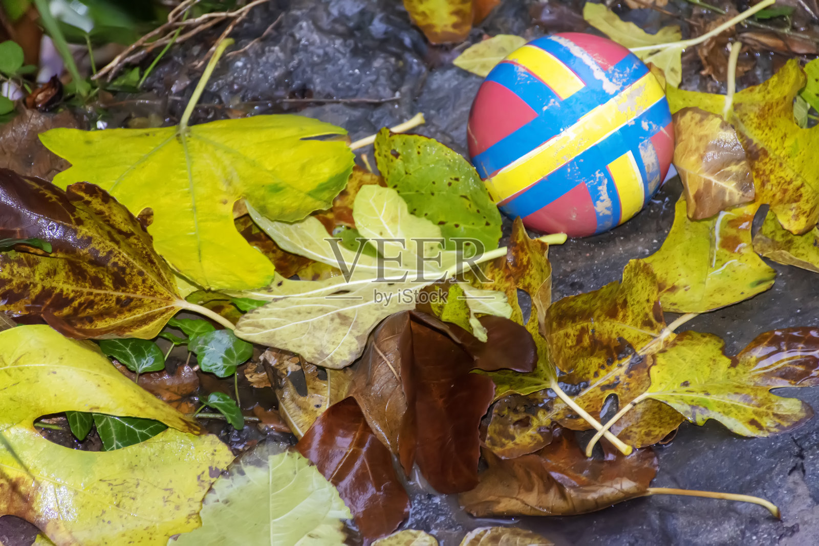 老孩子们的球在潮湿的，黄色的树叶中照片摄影图片