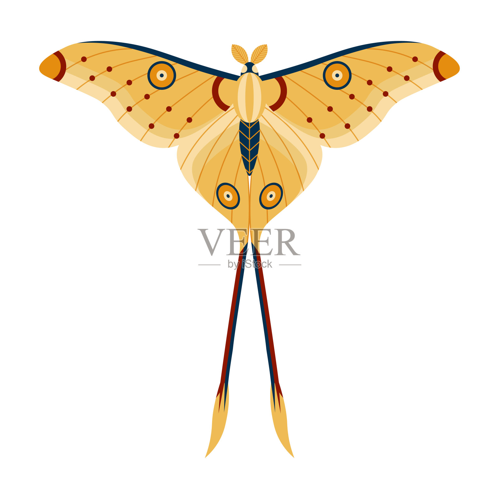 彩色热带蝴蝶蛾卡通图标插画图片素材