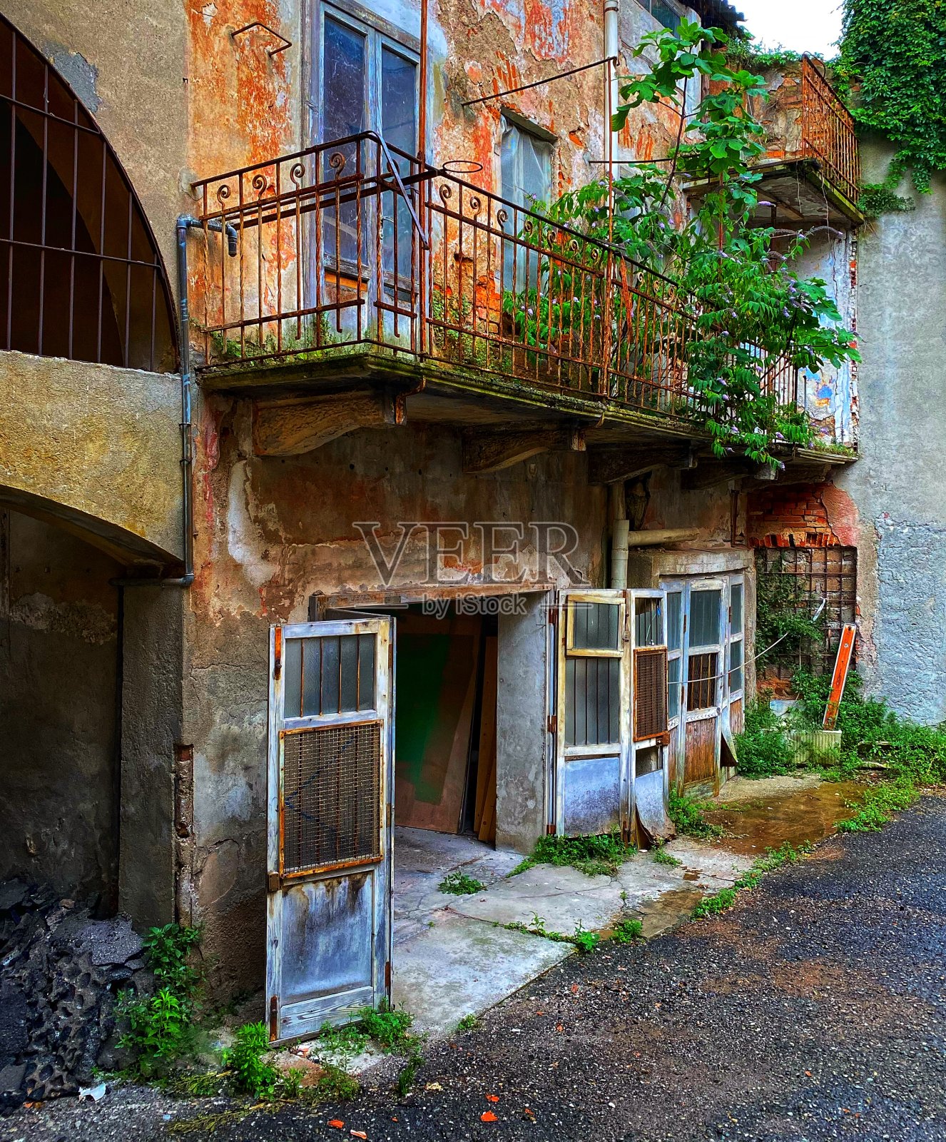 伊佐拉elba照片摄影图片