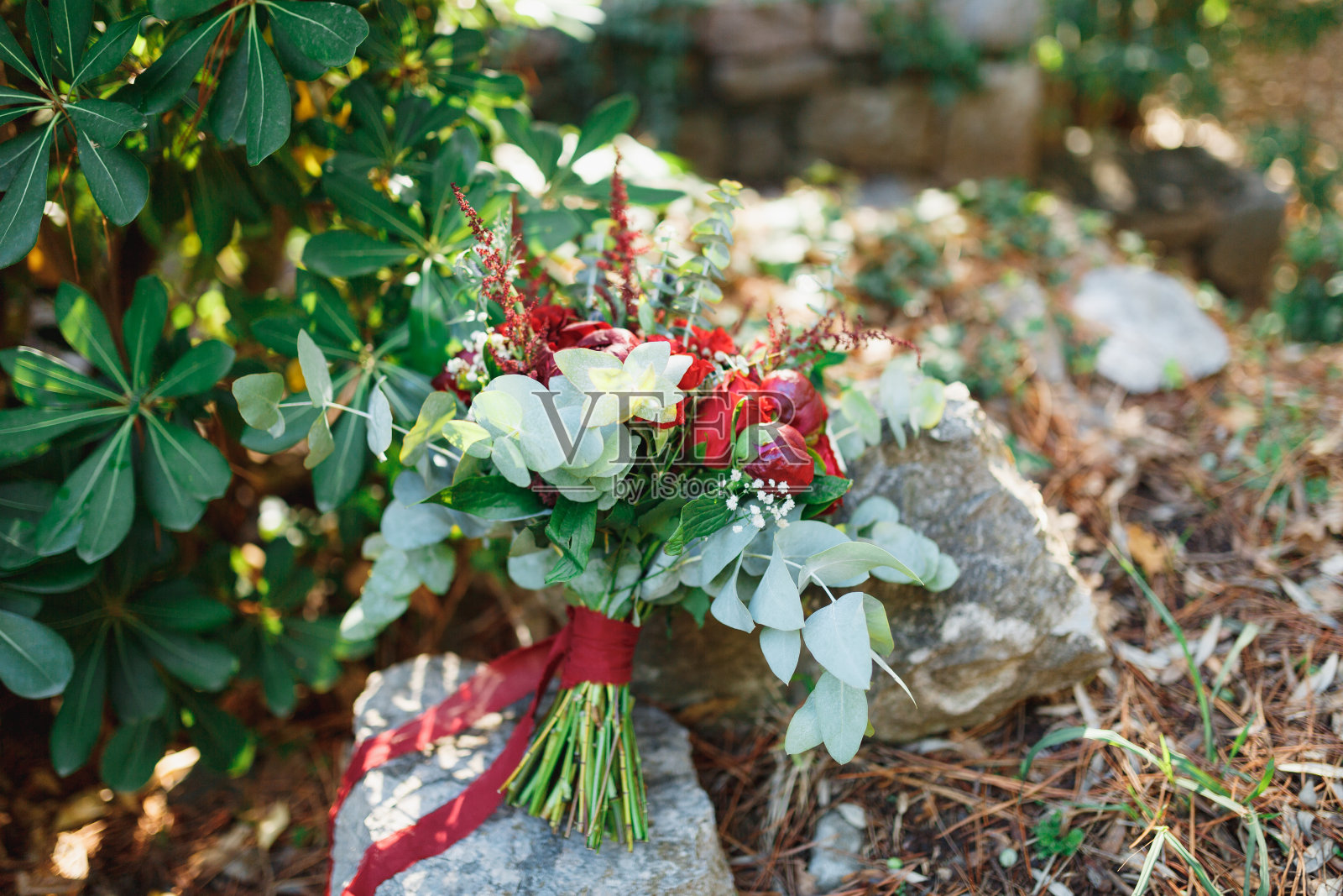 新娘的花束有勃艮第牡丹、红玫瑰、桉树枝、杏、婴儿气息、青花和石头上的红丝带照片摄影图片