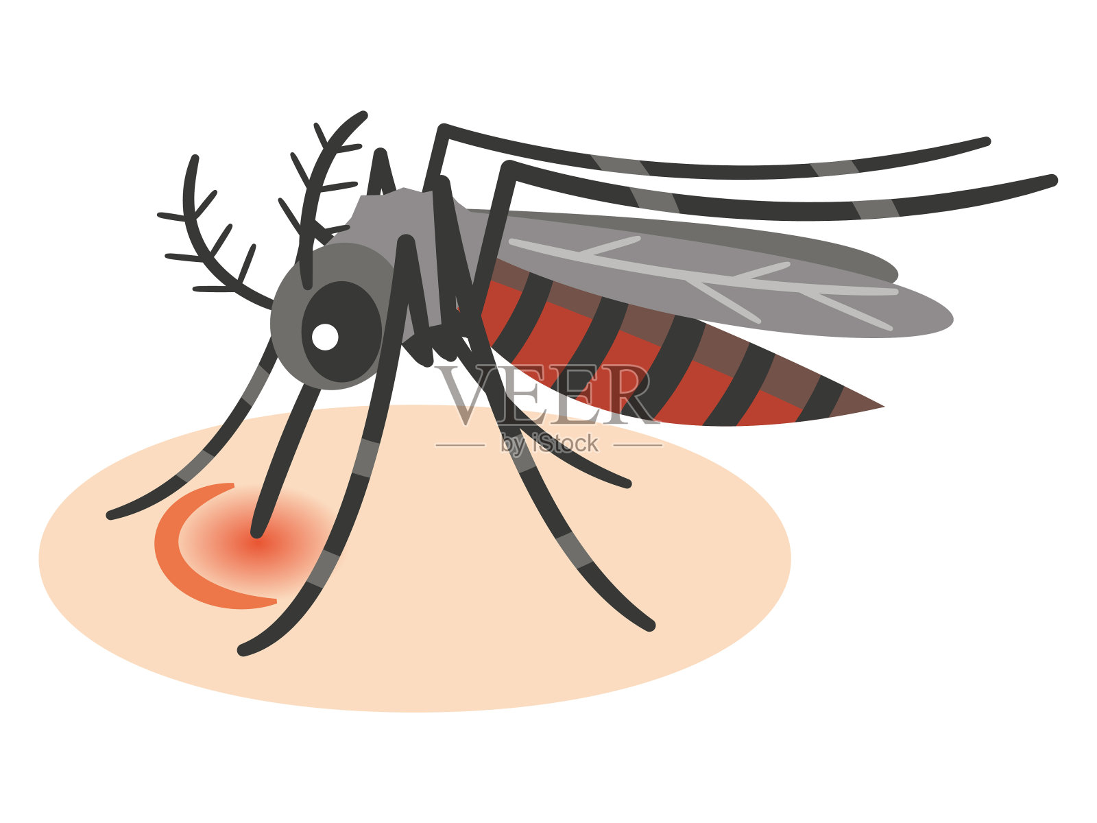 蚊子吸血的插图插画图片素材