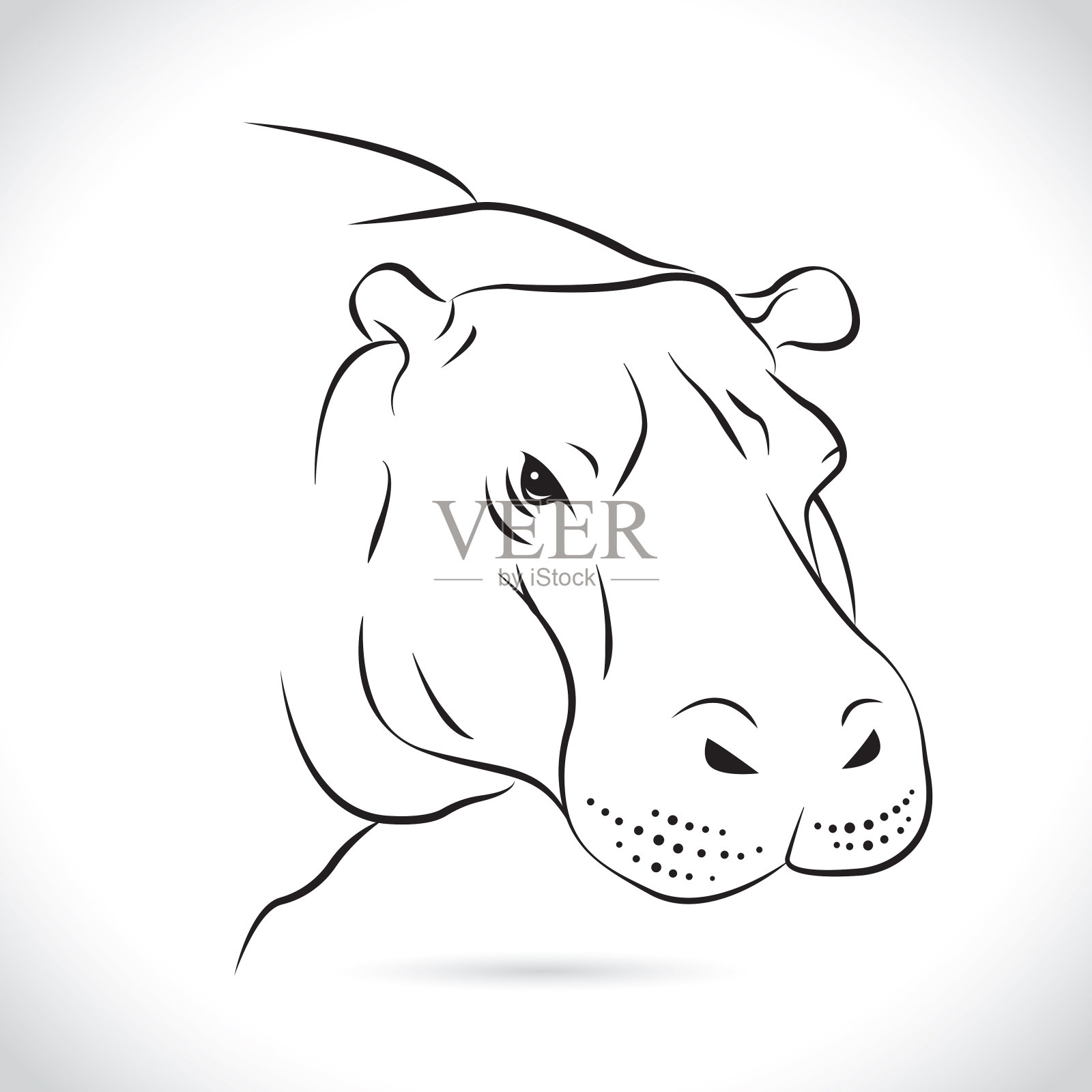 在白色背景上的河马头的矢量图像。插画图片素材