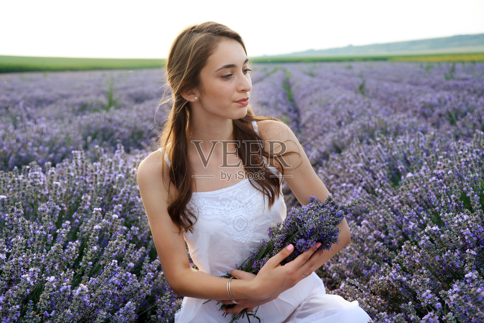 年轻的女孩在薰衣草地里捧着花束照片摄影图片