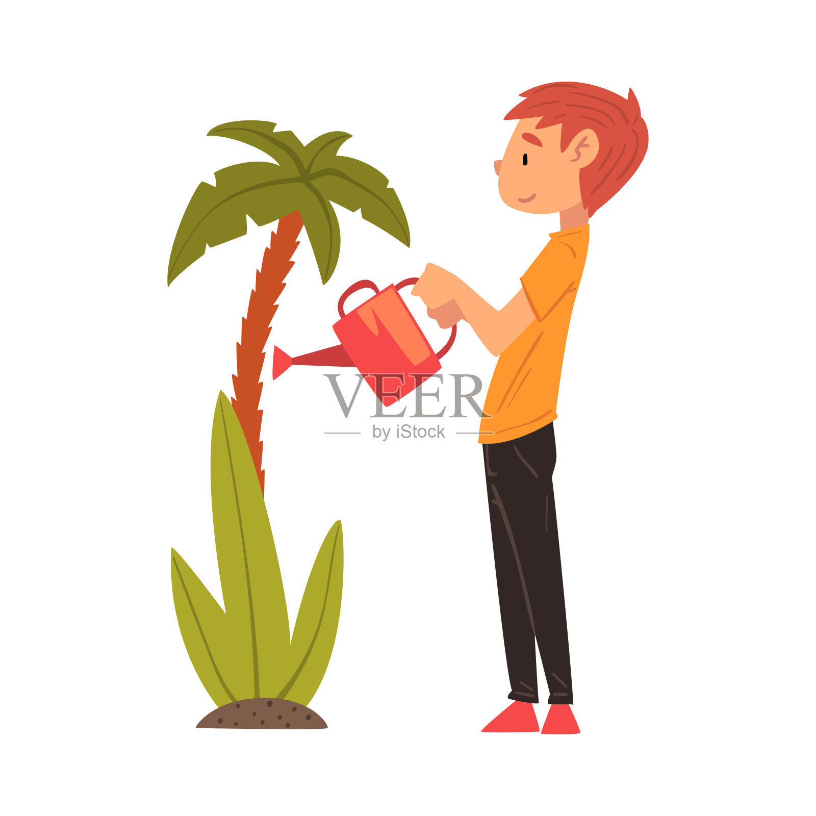 可爱的男孩用喷壶在花园里浇棕榈树设计元素图片