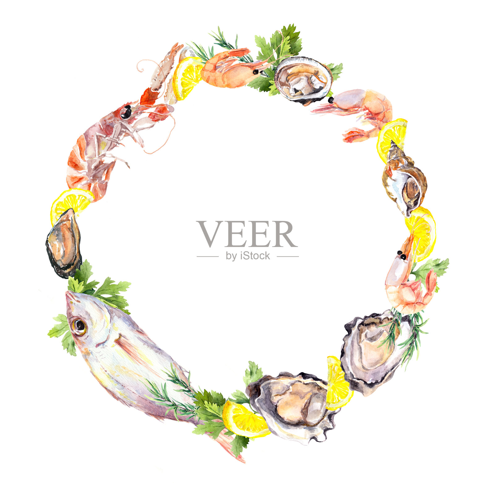 各种海鲜花环:鱼，牡蛎，对虾，贻贝，其他软体动物，柠檬和欧芹草本。水彩海鲜圆框插画图片素材