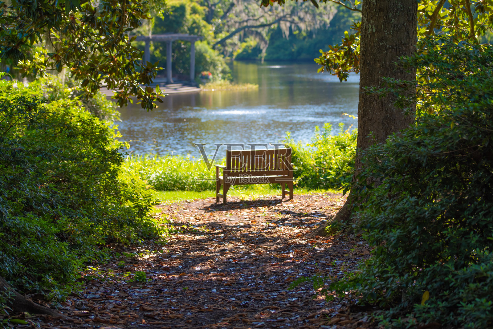 在公园放松照片摄影图片