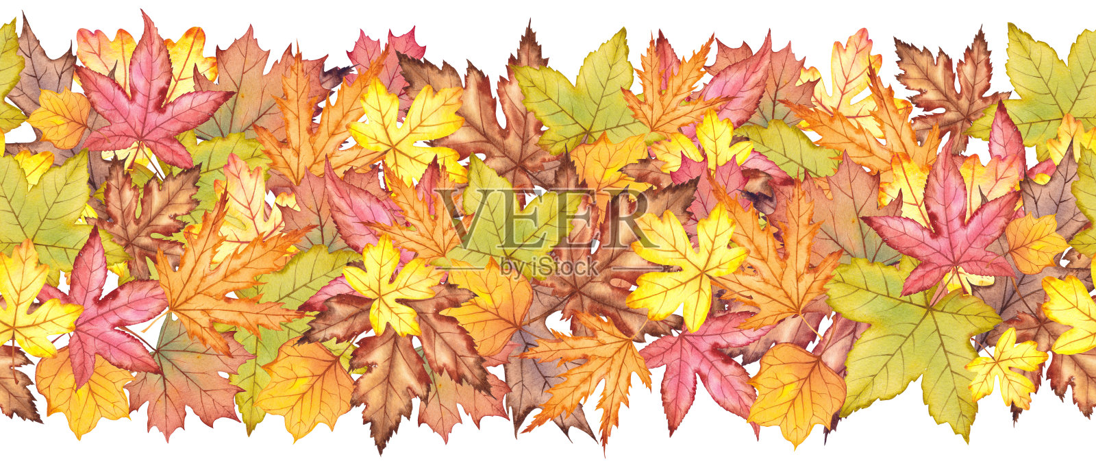 无尽的秋天被森林的树叶包围着。插画图片素材