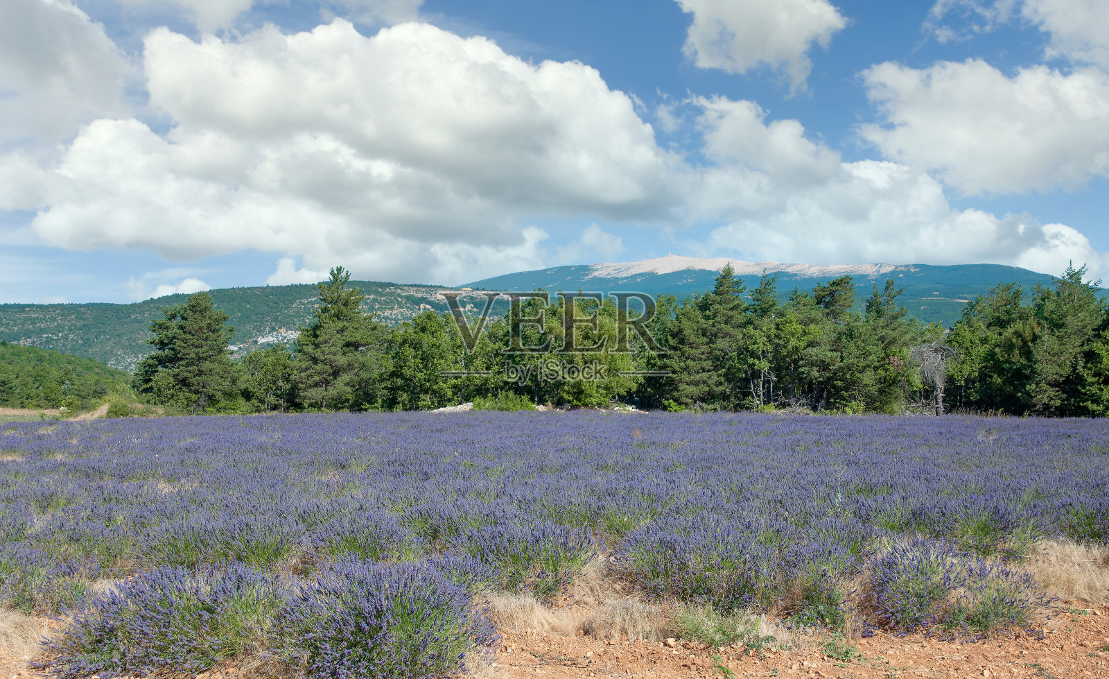 蒙文图，普罗旺斯，法国照片摄影图片