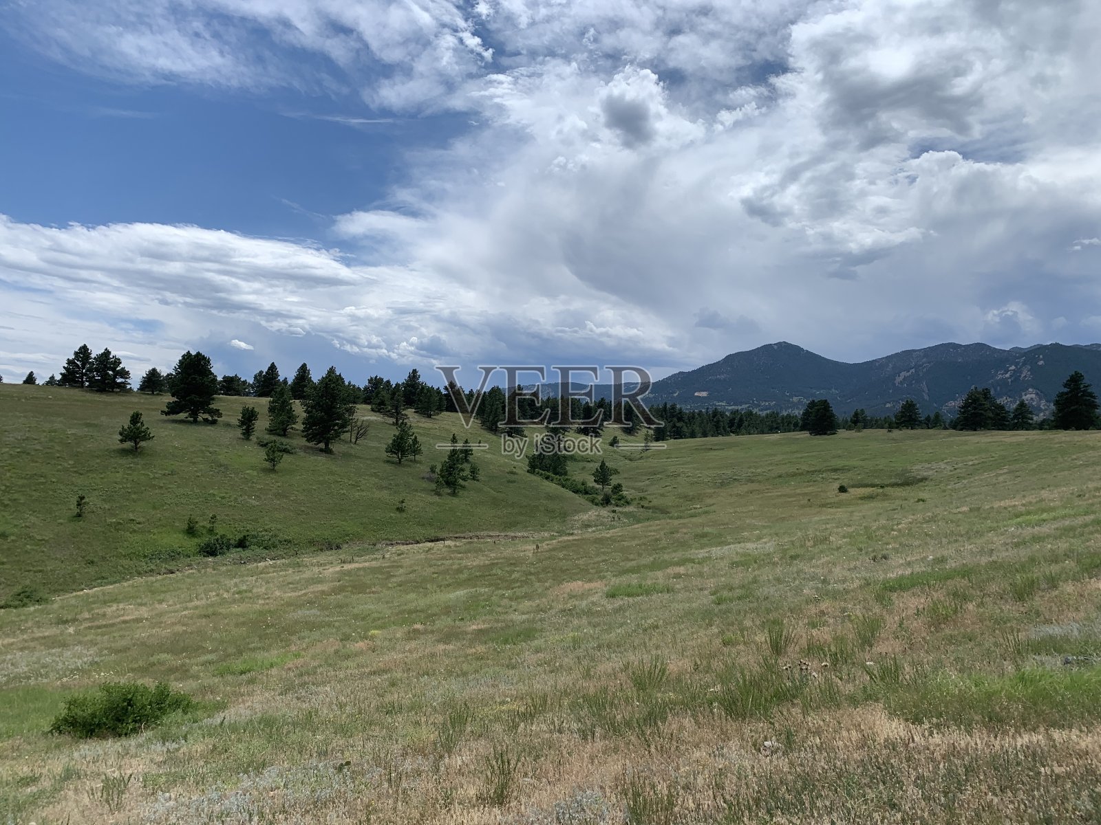高山草地，蓝天白云照片摄影图片
