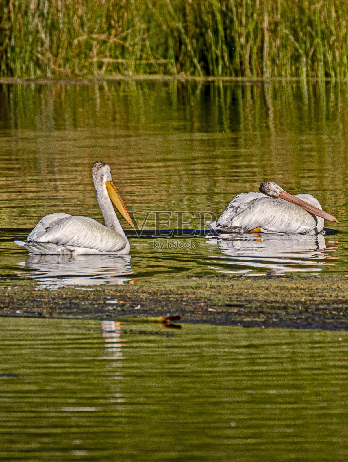休息照片摄影图片