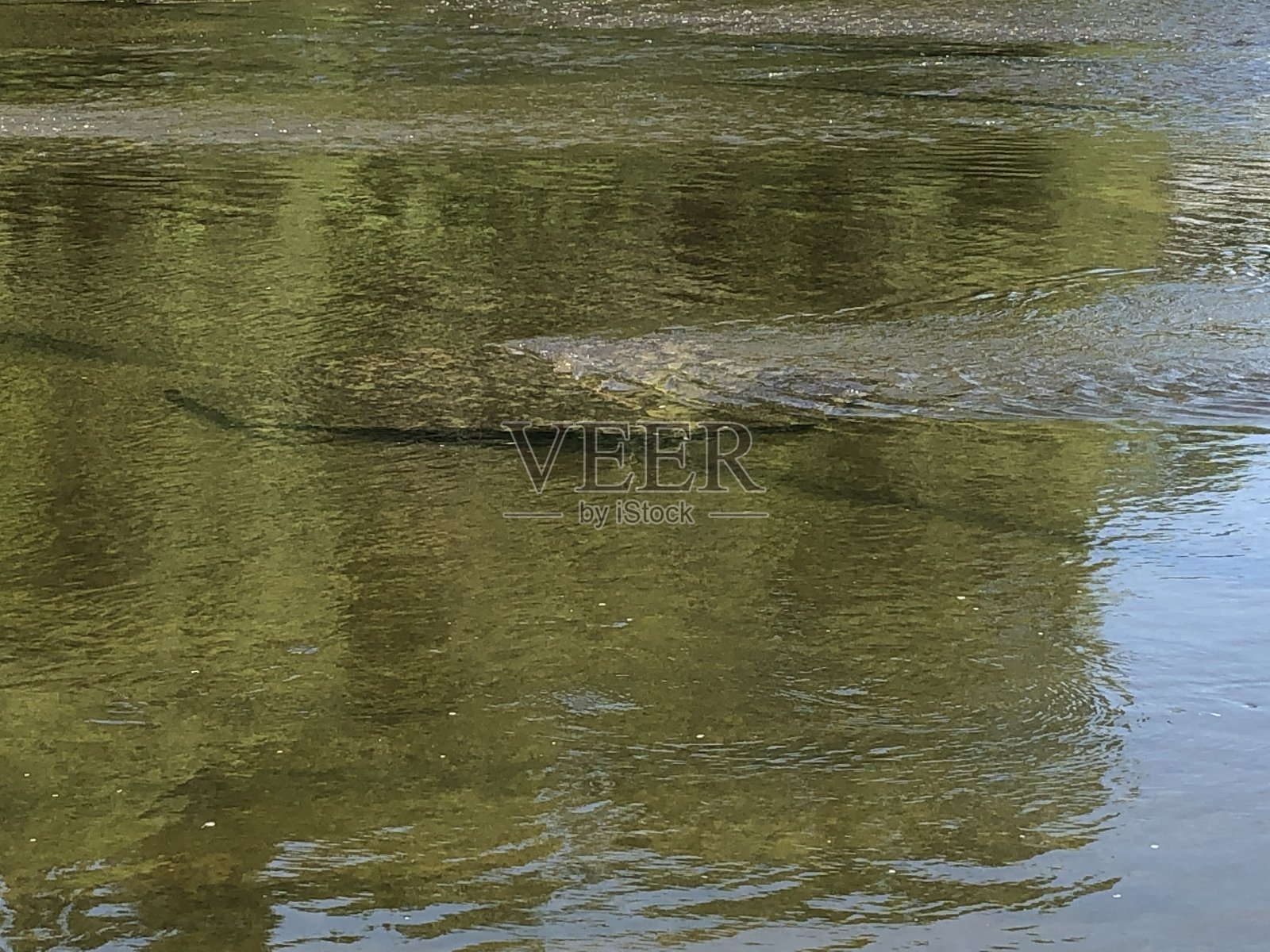 在低水平移动的河流与岩石板照片摄影图片