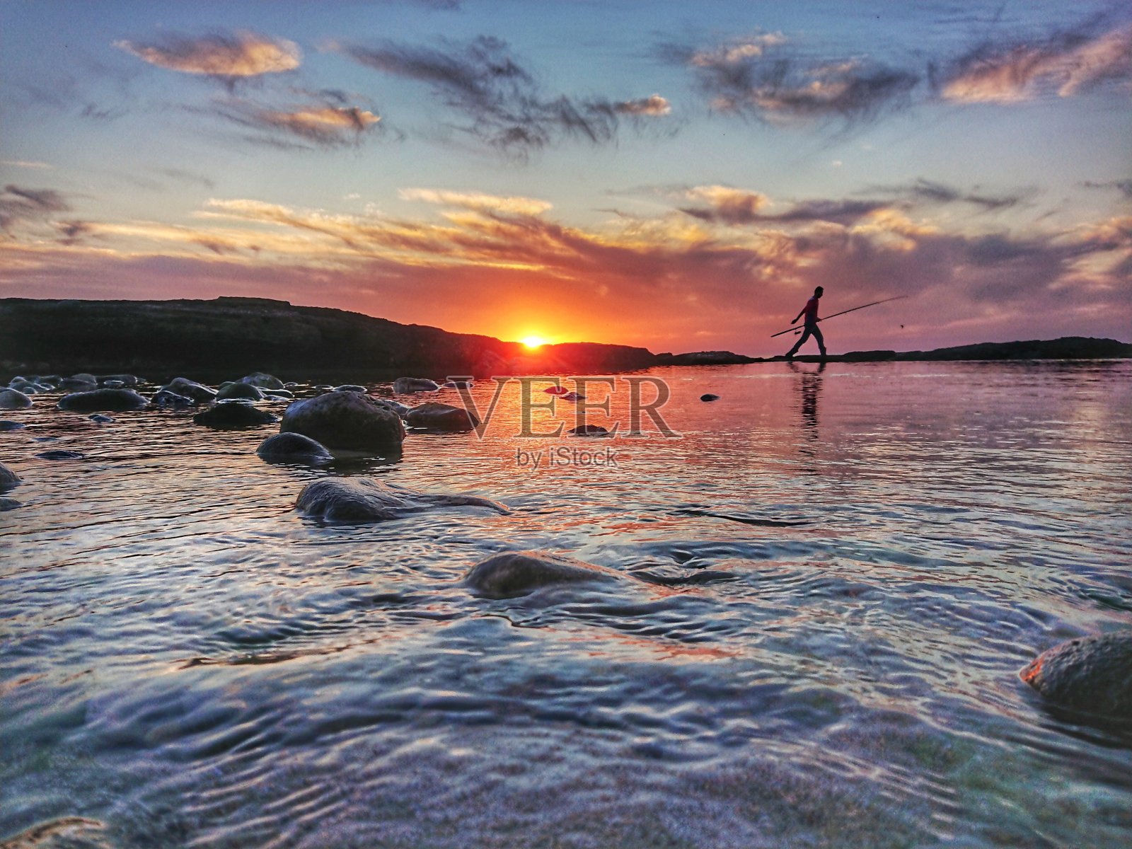 继续寻找鱼照片摄影图片