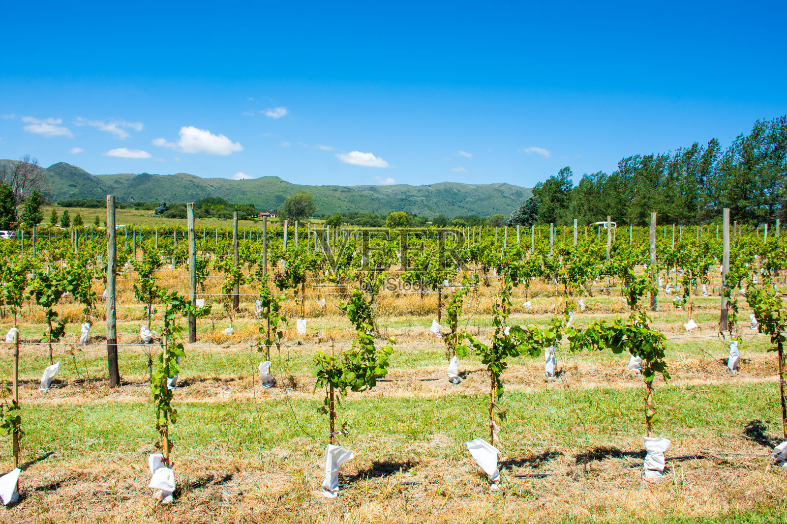 阿根廷科尔多瓦的温纳亚德照片摄影图片