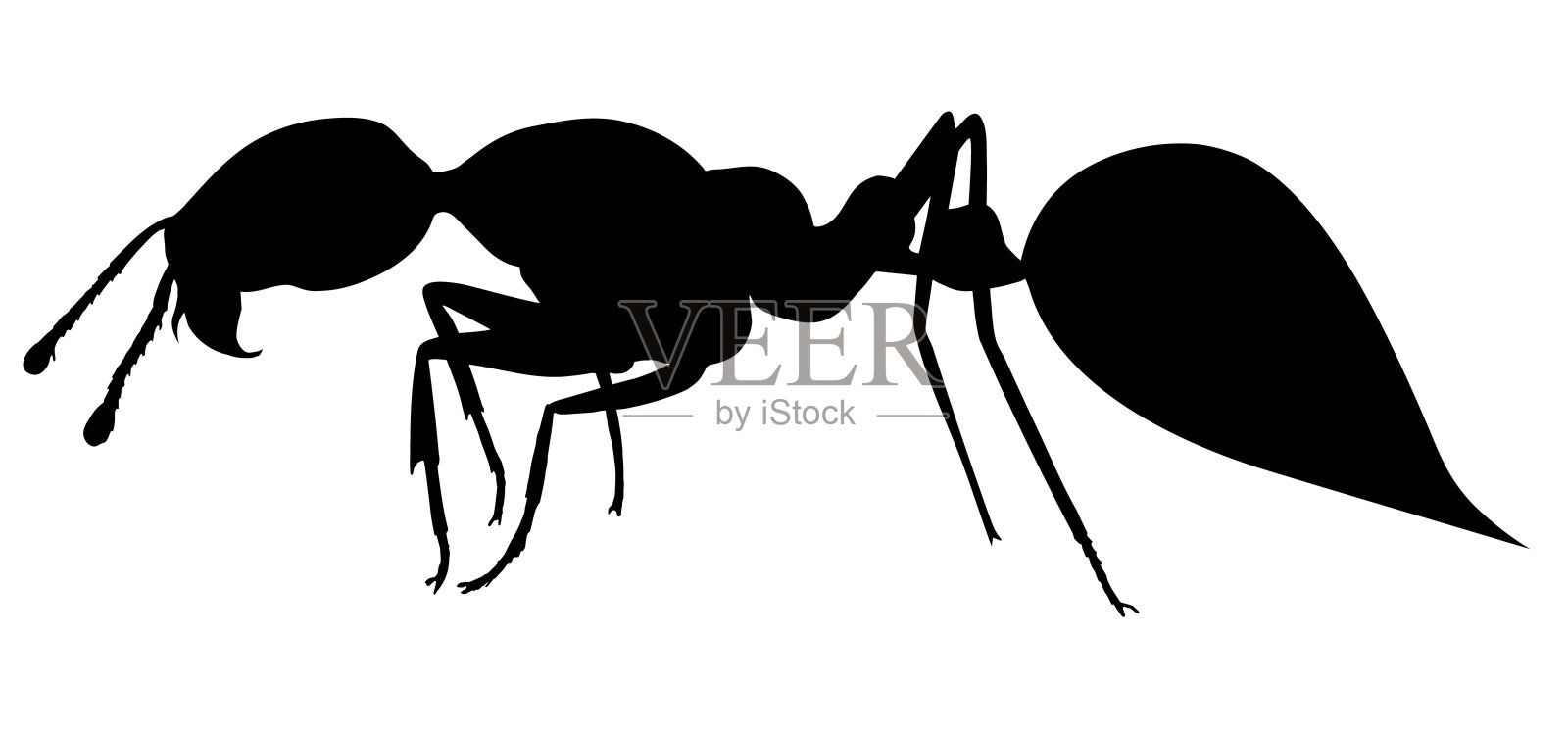 火蚁。手绘现实的矢量剪影。设计元素图片