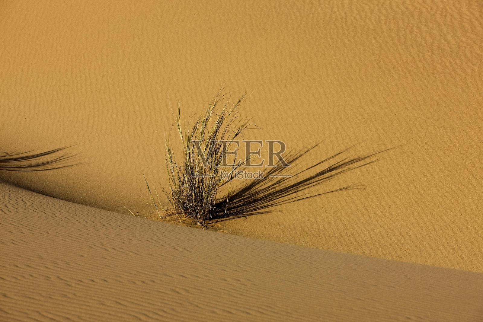 沙丘，沙漠附近的沃尔维斯湾在纳米比亚照片摄影图片