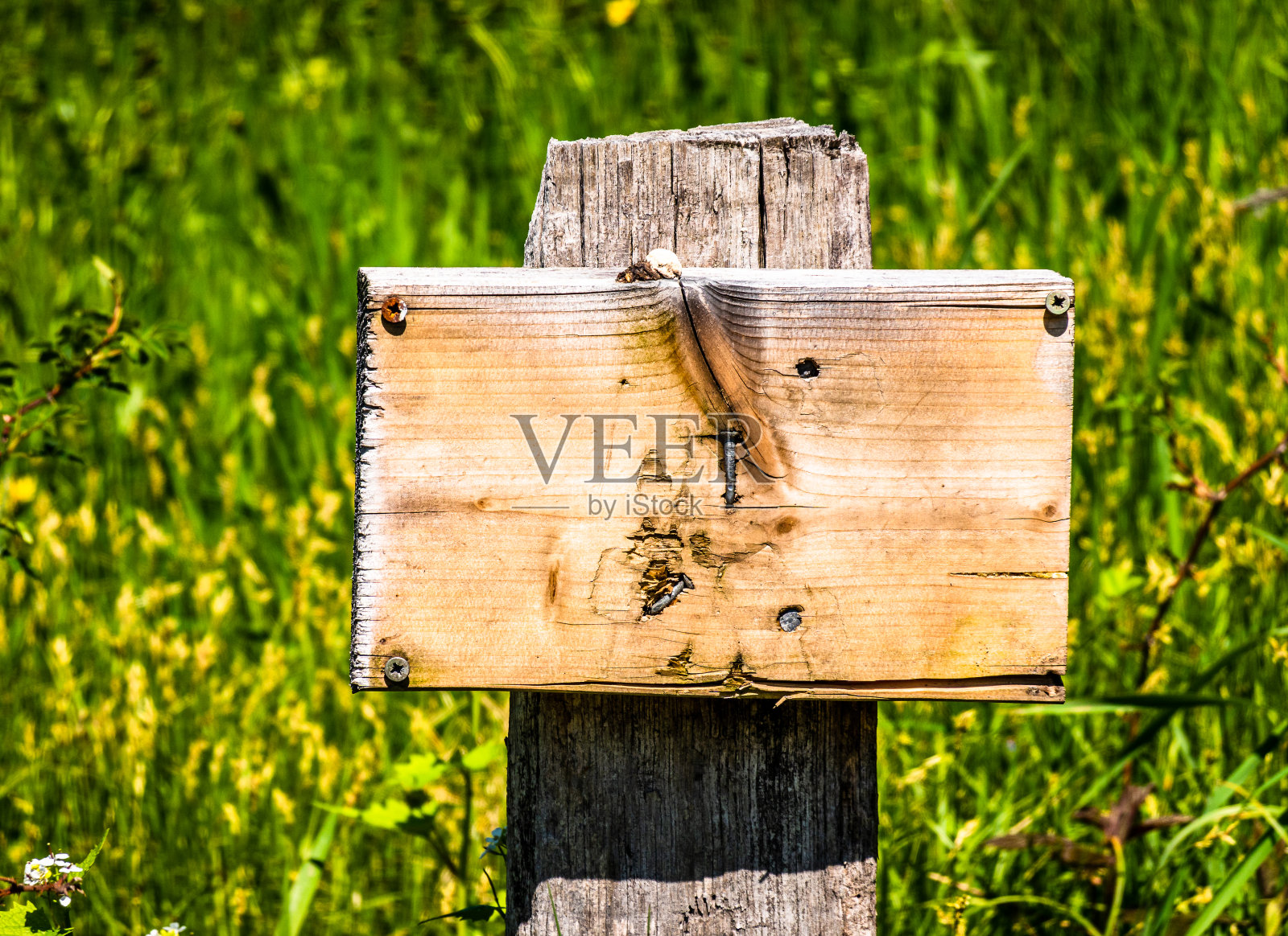 空白的木签照片摄影图片