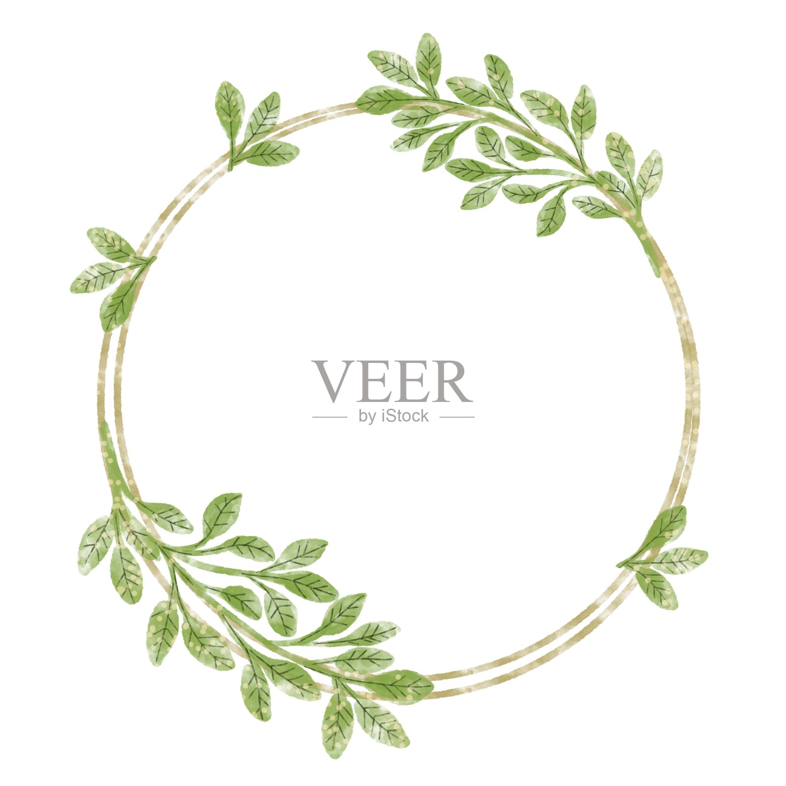 水彩框架的绿色植物花环与叶为一个白色的背景上的婚礼庆典插画图片素材