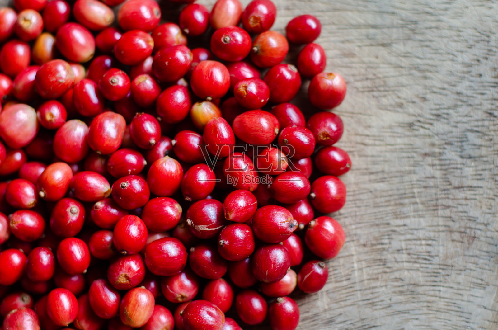 咖啡浆果照片摄影图片