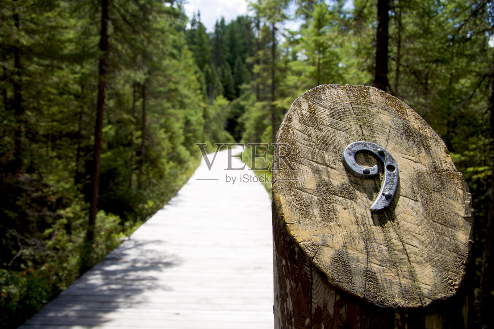 露营和夏令营的图片。照片摄影图片