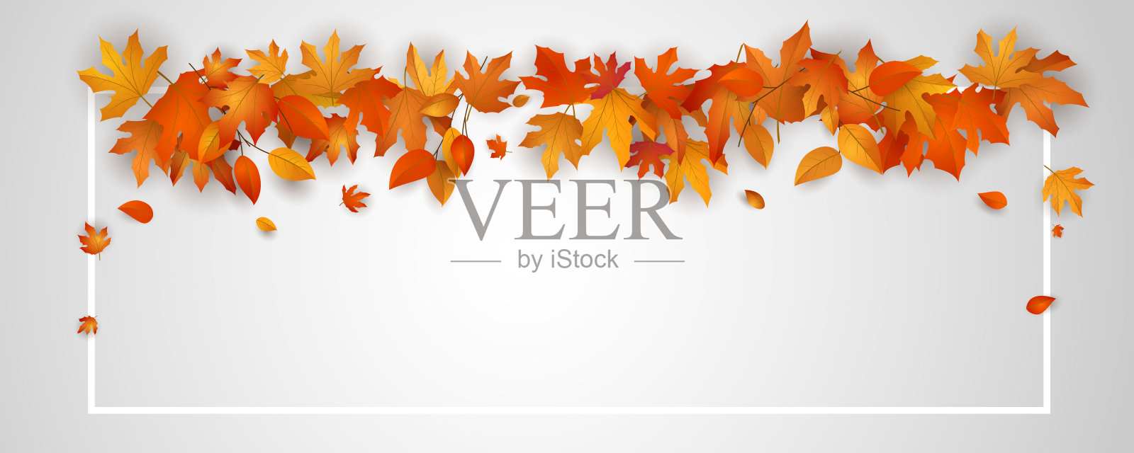 秋天的落叶背景自然插画图片素材