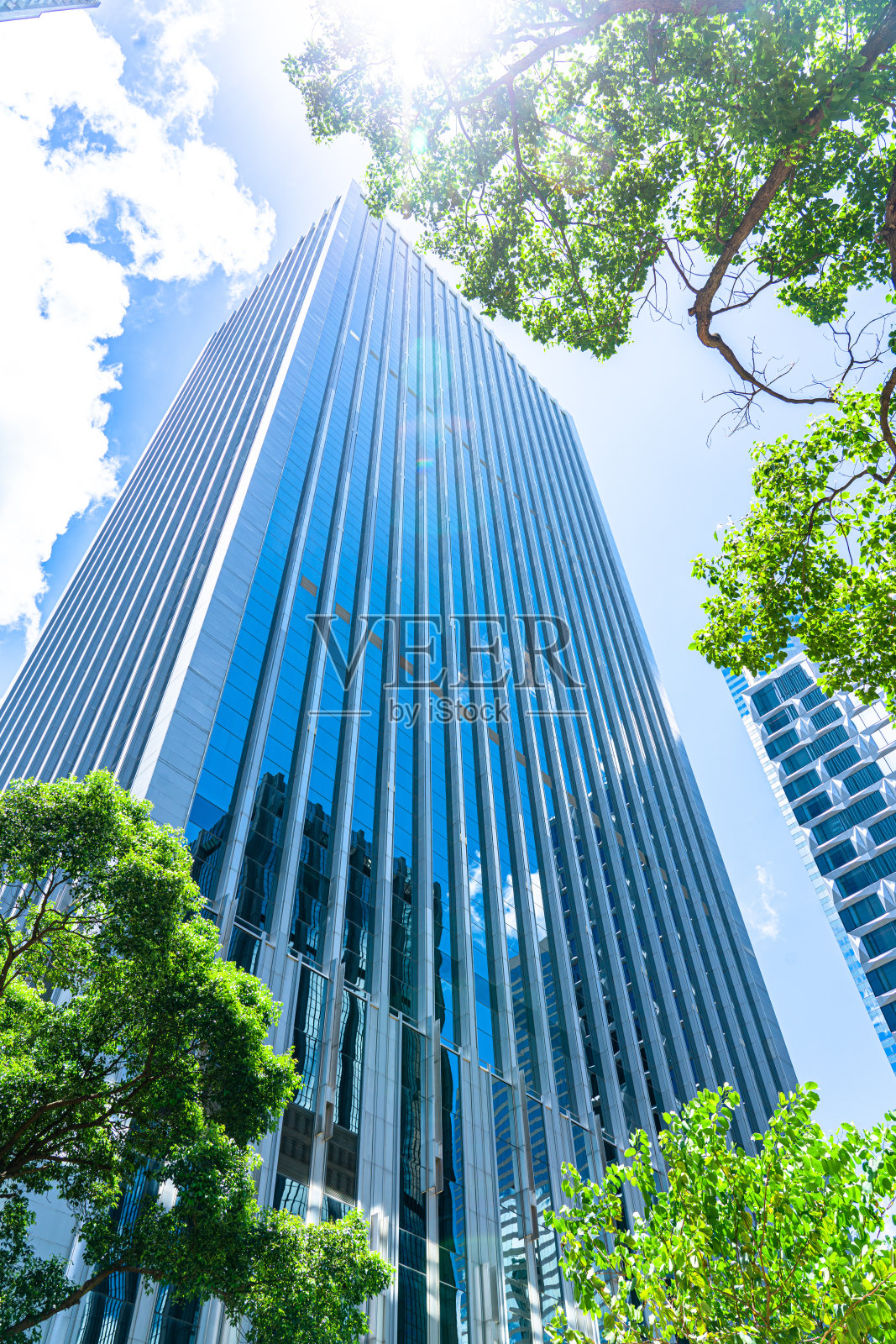 商业大厦和绿叶照片摄影图片