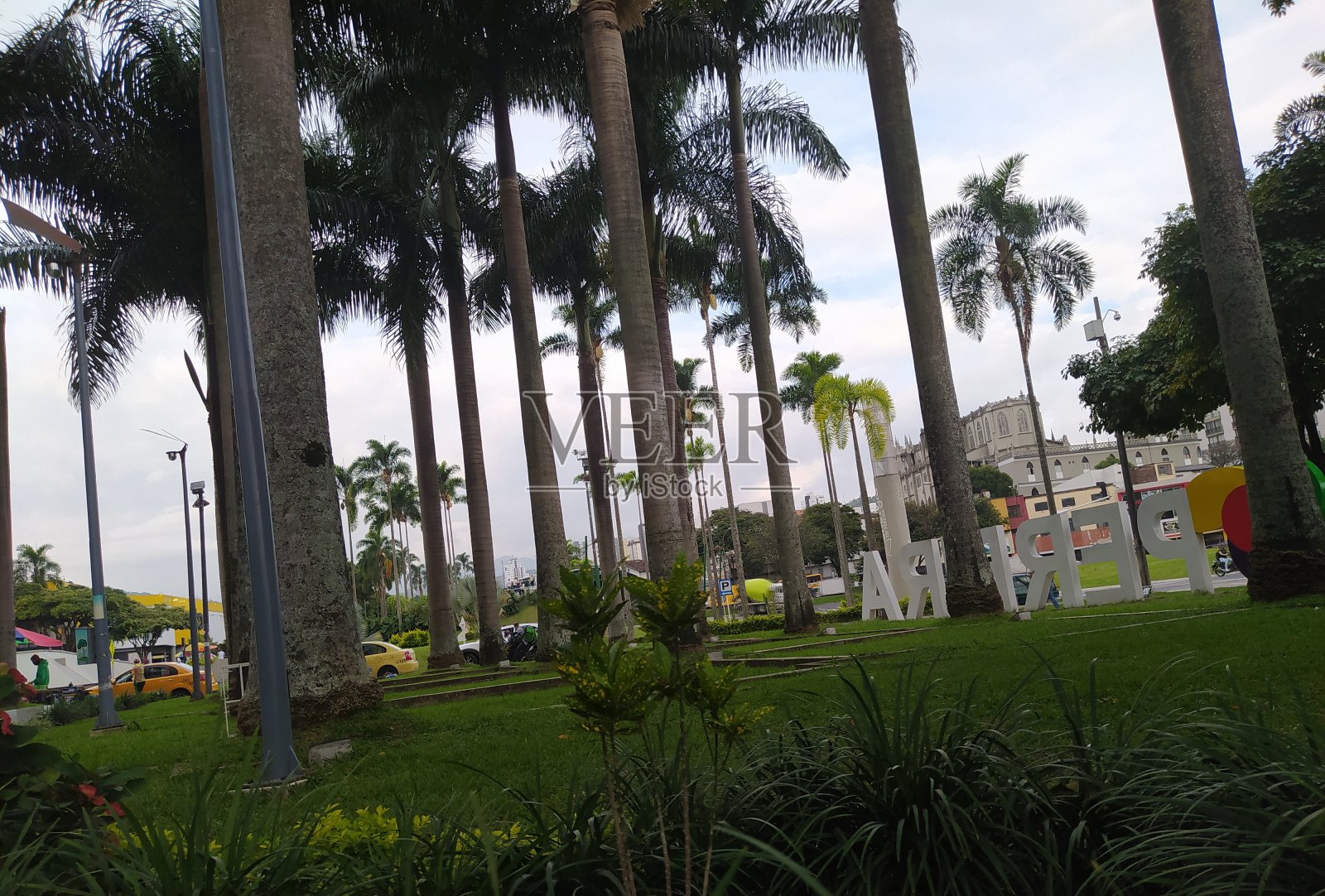 公园照片摄影图片