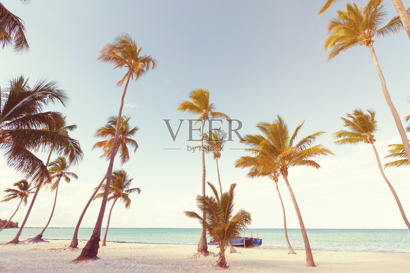 椰子树和原始的海滩照片摄影图片