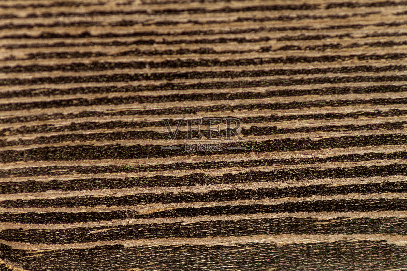 抽象照片背景与天然木材纹理照片摄影图片