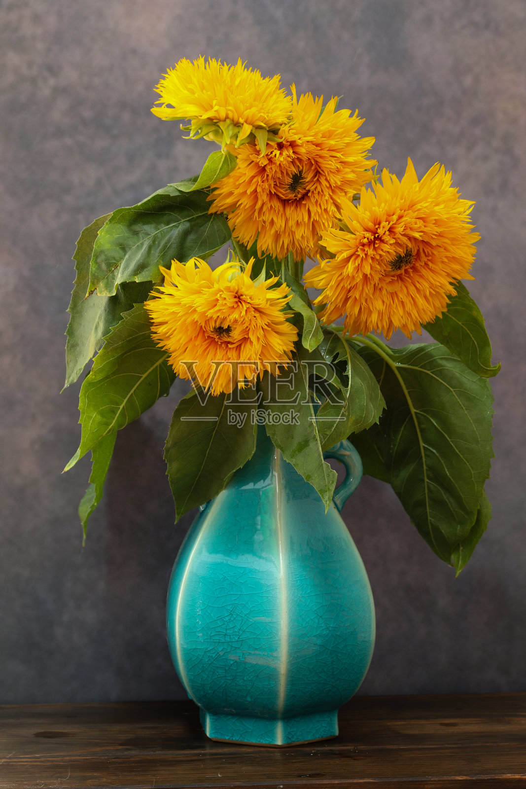 蓝色花瓶里的向日葵照片摄影图片