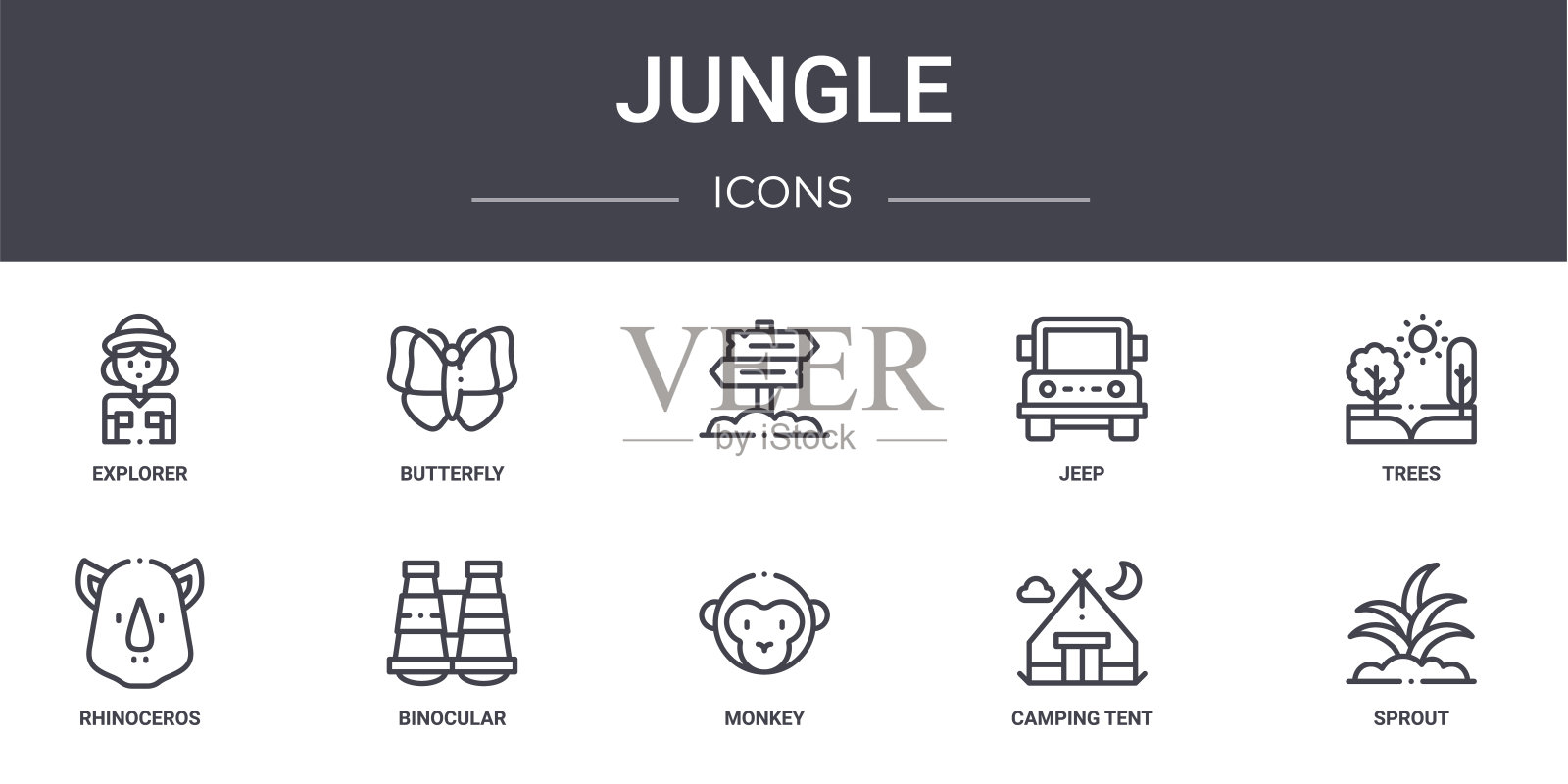 丛林概念线图标集。包含可用于web, logo, ui/ux的图标，如蝴蝶，吉普车，犀牛，猴子，露营帐篷，萌芽，树木，图标素材